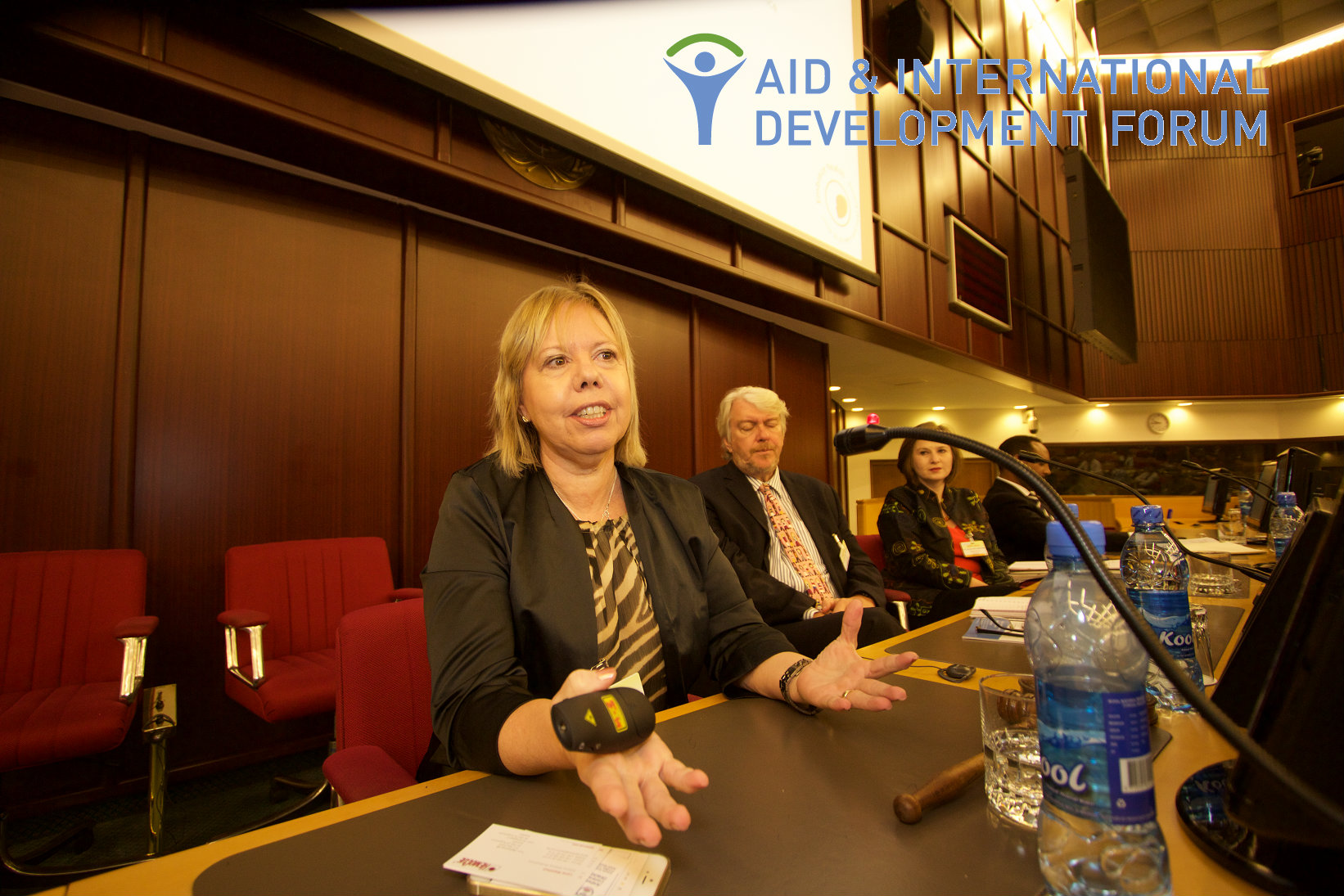 Interview with Lena Wahlhed, Director Alliance Development, HemoCue at AIDF Africa Summit 2016