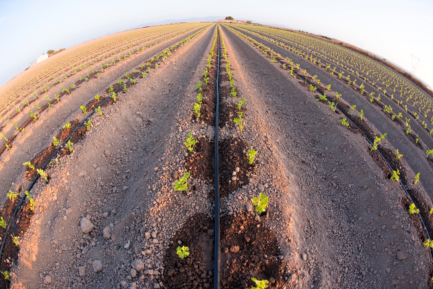 Rivulis Irrigation - Water: Vital to sustaining life